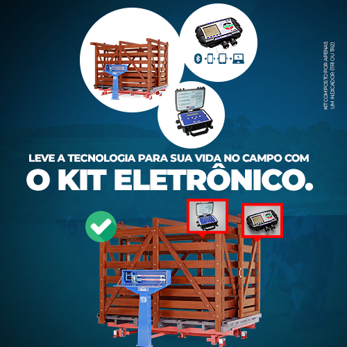 Kit Eletrônico