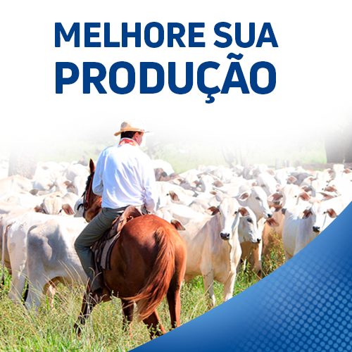 Melhore a sua produção!