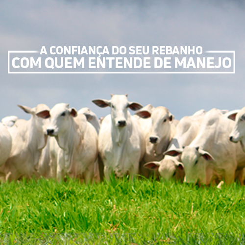 A confiança do seu rebanho com quem entende de manejo!